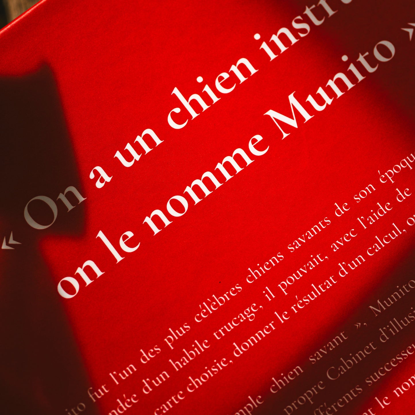 Munito, le chien savant